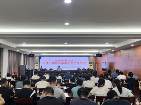 岳林街道召開應急消防安全素養培訓會